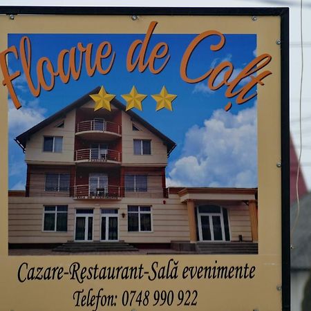 Hotel Floare De Colt Berbesti Exterior foto
